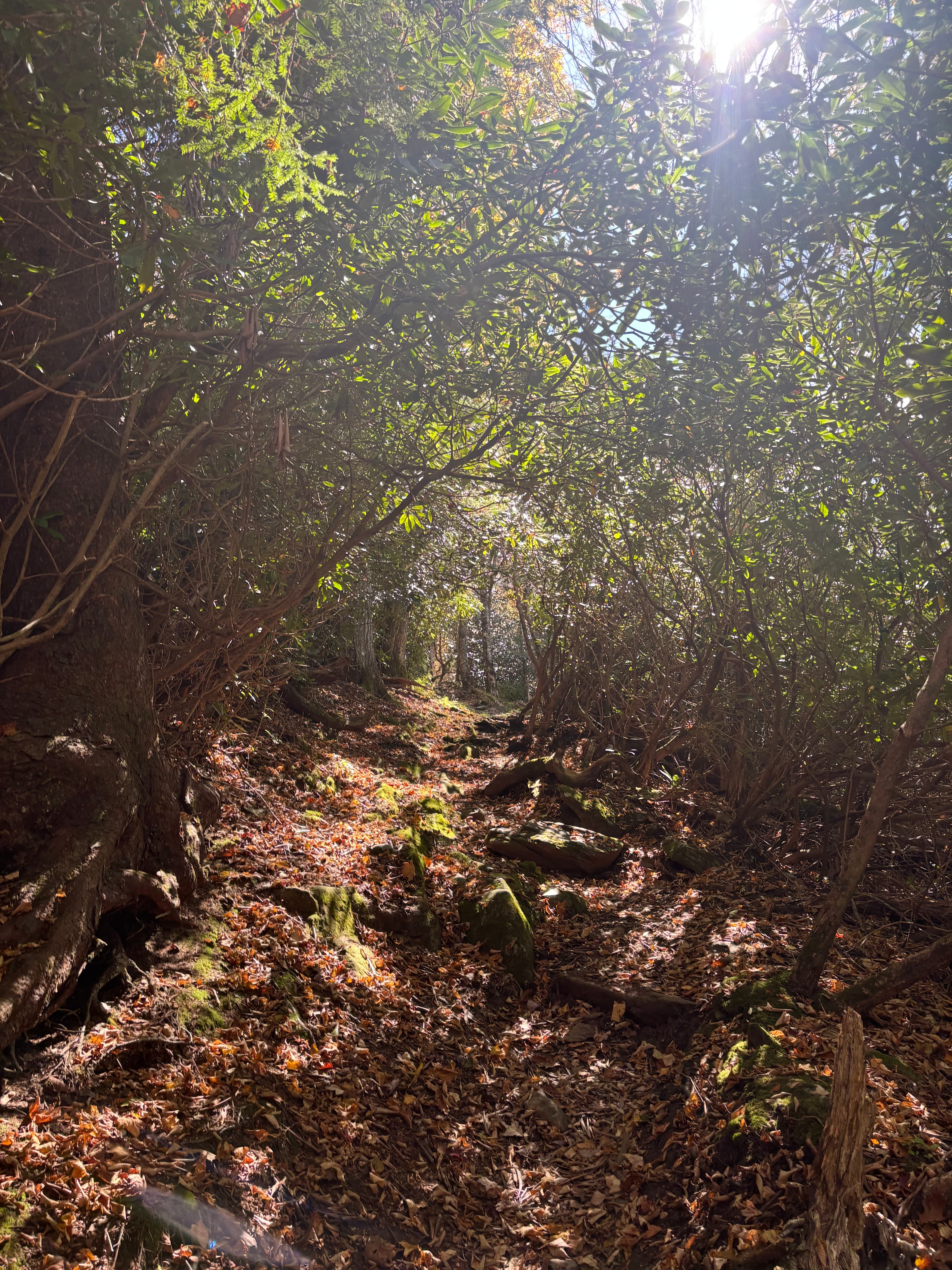 Personalized Primary Care